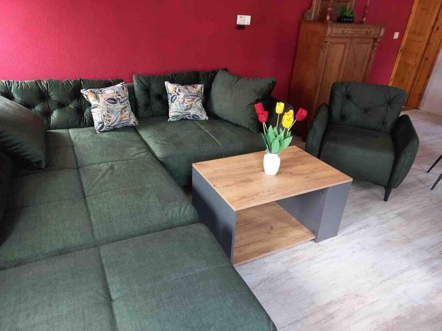 Maisonette-Fewo Fritz Mit Infrarotsauna Grossschoenau Ngoại thất bức ảnh