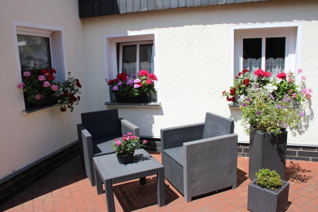 Maisonette-Fewo Fritz Mit Infrarotsauna Grossschoenau Ngoại thất bức ảnh